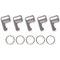 GoPro 3661-047 Wi-Fi Attachment Keys + Rings AWFKY-001