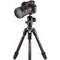 Manfrotto MKBFRTC4GTA-BH Befree GT Carbon Alpha designed fr Sony Alpha Kameras