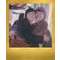 Polaroid I-Type COLOR Golden Moments Doppelpack mit 2x 8 Aufn. ohne Batterie fr I-1 Kamera + Instant Lab und one step 2 Kamera 6034