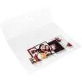 Kodak Bildertaschen bis 20x30cm 250 Stck CAT 3950912