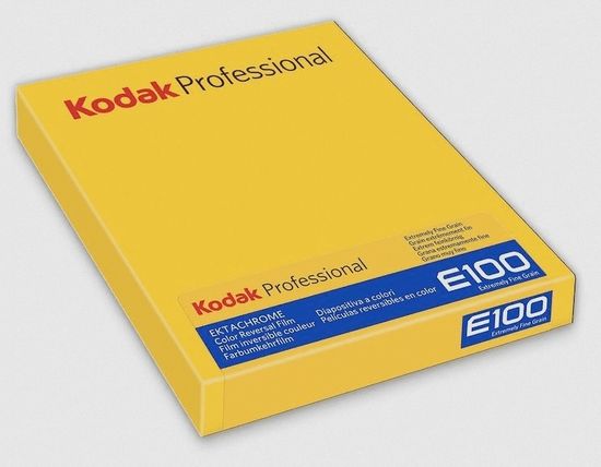 Kodak Ektachrome E100 10,2 x 12,7 cm (4x5") 10 Blatt CAT 8960312